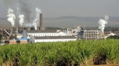 Usina da São Martinho obtém certificação para fornecimento de etanol para produção de SAF