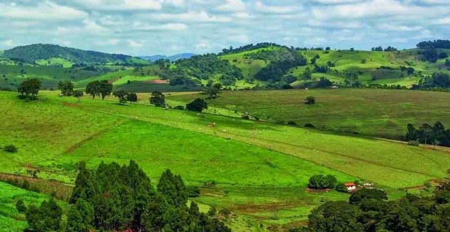 Empresários querem regulamentar mercado de carbono no país — Foto: Getty Images
