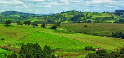 Empresários defendem PL sobre mercado de carbono