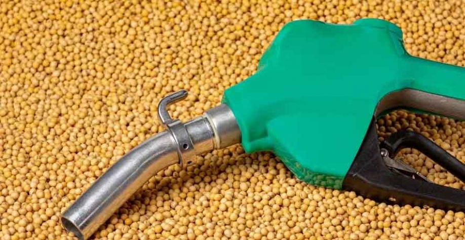 Lei estabelece aumento escalonado da mistura de biodiesel ao diesel; óleo de soja é uma das matérias-primas — Foto: Getty Images