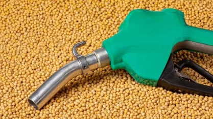 Combustível do Futuro pode fazer demanda por óleo de soja para biodiesel crescer 150%