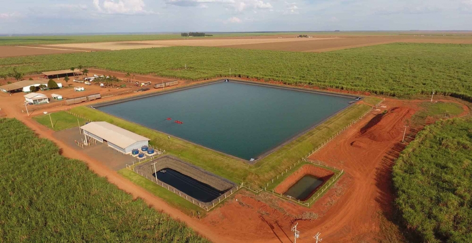  Na Fazenda Irmãos Garcia, área de gotejamento de 420 hectares resultou em uma produtividade agrícola média de 177 ton/ha na cana-planta. Foto: Divulgação Irmãos Garcia
