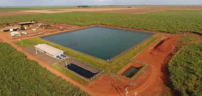 Fazenda no MT instala 420 hectares de gotejamento em cana-de-açúcar