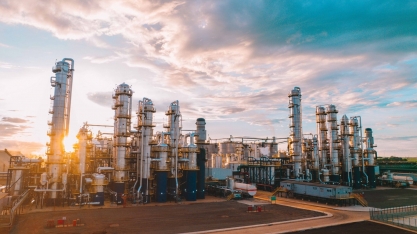 Inpasa e SIM buscam criar joint venture