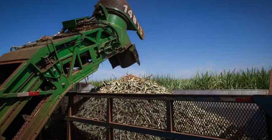 Usinas mostram postura firme nas negociações, aponta Cepea — Foto: Wenderson Araújo/CNA