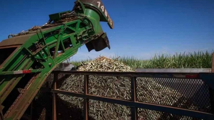 Preços do açúcar e do etanol seguem em alta no mercado de São Paulo