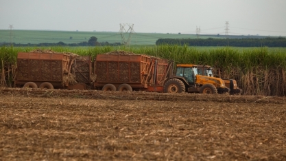 Moagem de cana-de-açúcar atinge 39 milhões de toneladas na 2ª quinzena de setembro