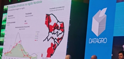 Os desafios da safra canavieira 2024/2025 na região Centro-Sul