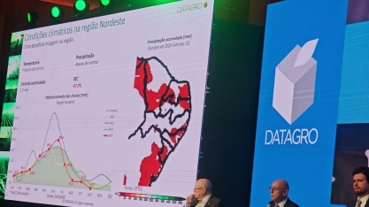 Os desafios da safra canavieira 2024/2025 na região Centro-Sul