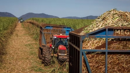 Preços do açúcar e do etanol sobem no final de setembro