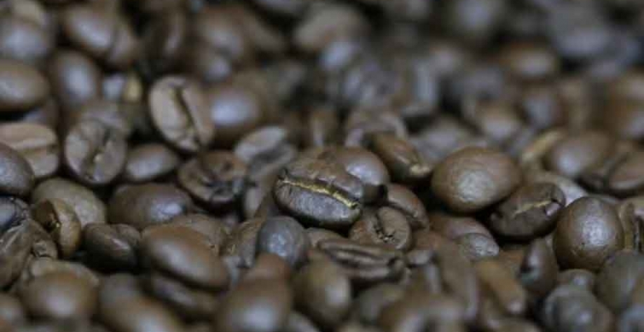 Mercado de café realiza lucros e tentar atenuar volatilidades marcantes — Foto: Tony Oliveira/CNA