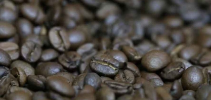 Preço do café abre na bolsa de Nova York no menor nível desde agosto