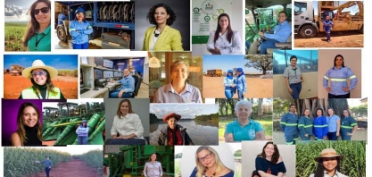 Quantas são? Quem São? O que fazem as mulheres da cana-de-açúcar?