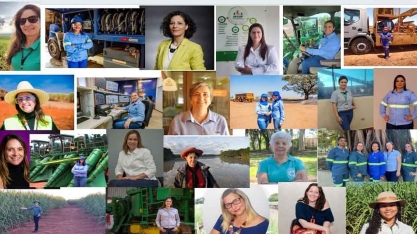 Quantas são? Quem São? O que fazem as mulheres da cana-de-açúcar?
