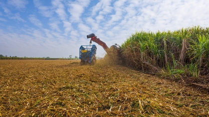 O futuro dos biocombustíveis