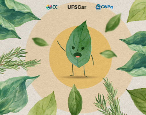 (Imagem: Henrique Campos)