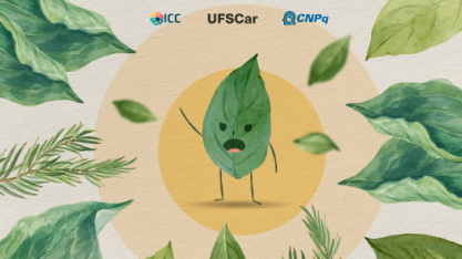 UFSCar lança série no Instagram sobre plantas daninhas e soluções sustentáveis