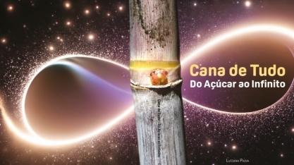 Presidente da SIAMIG Bioenergia é homenageado no livro ‘Cana de Tudo: do Açúcar ao Infinito”