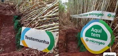 Produtor instala Bioestação e alcança incremento de produtividade agrícola de 12 ton/ha por corte