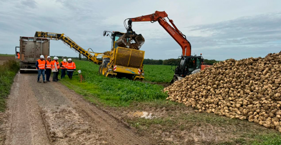 Comitiva acompanha a colheita de beterraba em Bucy, na França