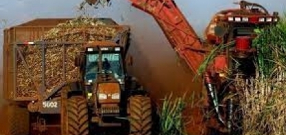 São Paulo Supera Mato Grosso na Exportação do Agro e Lidera Ranking no Brasil