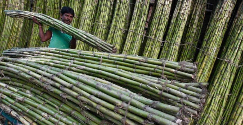 A empresa havia projetado anteriormente um excedente de 4,5 milhões. (Imagem: REUTERS/Rupak De Chowdhuri)