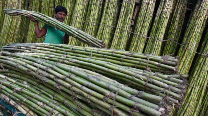 Produção global de açúcar deve registrar excedente de R$ 4,7 milhões em 2024/25, segundo Czarnikow