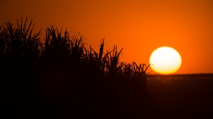 Guariba: da greve de boias-frias ao maior polo de mobilidade sustentável do mundo