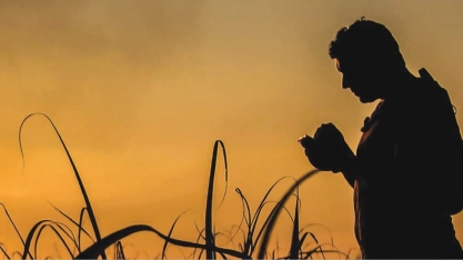 Em busca de mais homens que apoiam as mulheres