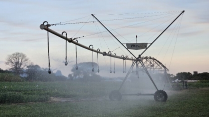 Primeiro polo de agricultura irrigada de MS inclui 26 cidades