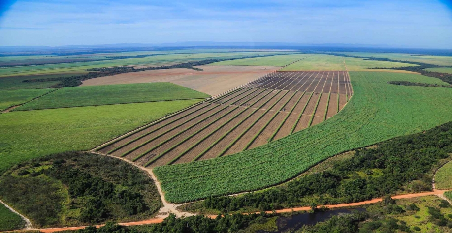 Pivô e gotejamento subsuperficial suprem de 70% a 80% do déficit hídrico da cultura, aumentando a produtividade agrícola de 35 ton/ha a 60 ton/ha. Foto: Divulgação Uisa