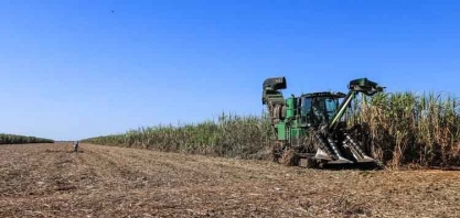 Elas já estão entre nós