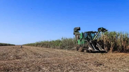Elas já estão entre nós