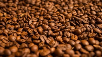 Café arábica abre o dia em alta na Bolsa de Nova York