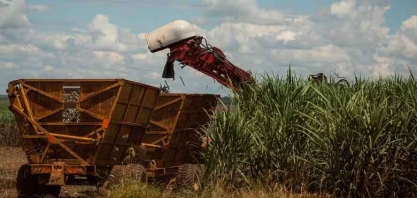 Moagem de cana-de-açúcar na safra 2024/25 cresce 1,9% no Norte e Nordeste