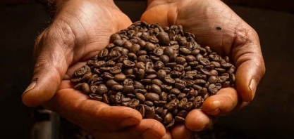 Café sobe em Nova York, enquanto açúcar cai em resposta ao preço do petróleo