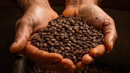 Café sobe em Nova York, enquanto açúcar cai em resposta ao preço do petróleo