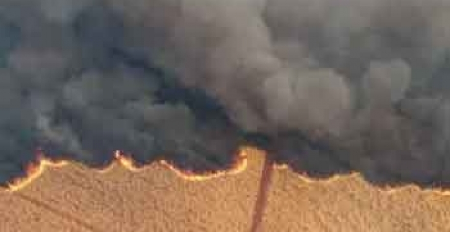  Queimadas no Estado de São Paulo no final do mês de agosto • 24/08/2024 - REUTERS/Joel Silva