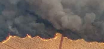 Impacto das queimadas afeta mais produtores rurais do que empresas agrícolas, estimam analistas