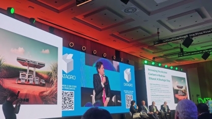 Luiz Gustavo Figueiredo sugere produção de etanol hidratado 95% e carro movido apenas a etanol