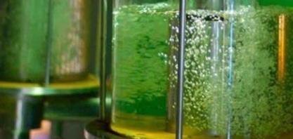 Potencial do etanol brasileiro para descarbonização do setor aéreo é tema de seminário no Japão