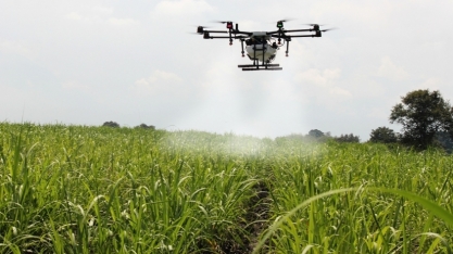Inteligência artificial é tendência nas vendas do agronegócio e alavanca setor brasileiro