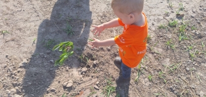 Crianças plantam o futuro no Projeto Semear Eco da Diana Bioenergia