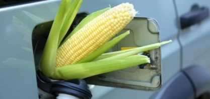 DATAGRO revisa para cima estimativa sobre produção brasileira de etanol de milho em 2024/25