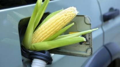 DATAGRO revisa para cima estimativa sobre produção brasileira de etanol de milho em 2024/25