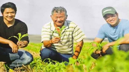 Conheça a história do berço do plantio direto no Brasil