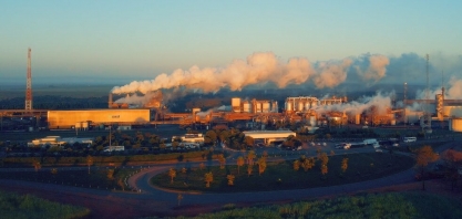 Cocal se destaca na categoria “Inovação” do Prêmio MasterCana Brasil & Award 2024