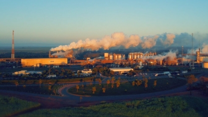 Cocal se destaca na categoria “Inovação” do Prêmio MasterCana Brasil & Award 2024