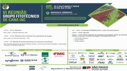 Manejo em canaviais incendiados será tema da 6ª Reunião do Grupo Fitotécnico IAC