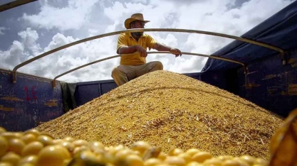 Governador do MT avalia cortar benefícios fiscais de empresas que seguem a moratória da soja